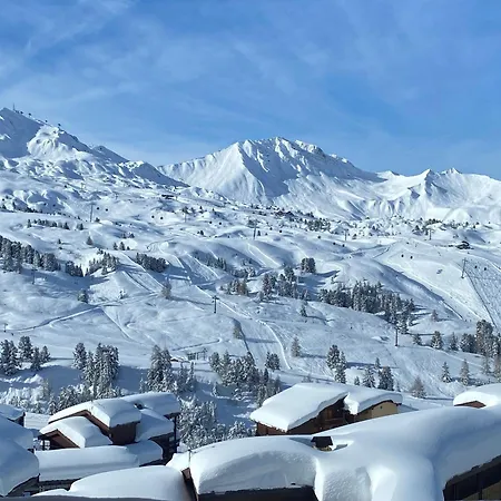 アパート Chaleureux Divisible - Skis Aux Pieds - Animaux Admis - Fr-1-181-2401 La Plagne-Tarentaise